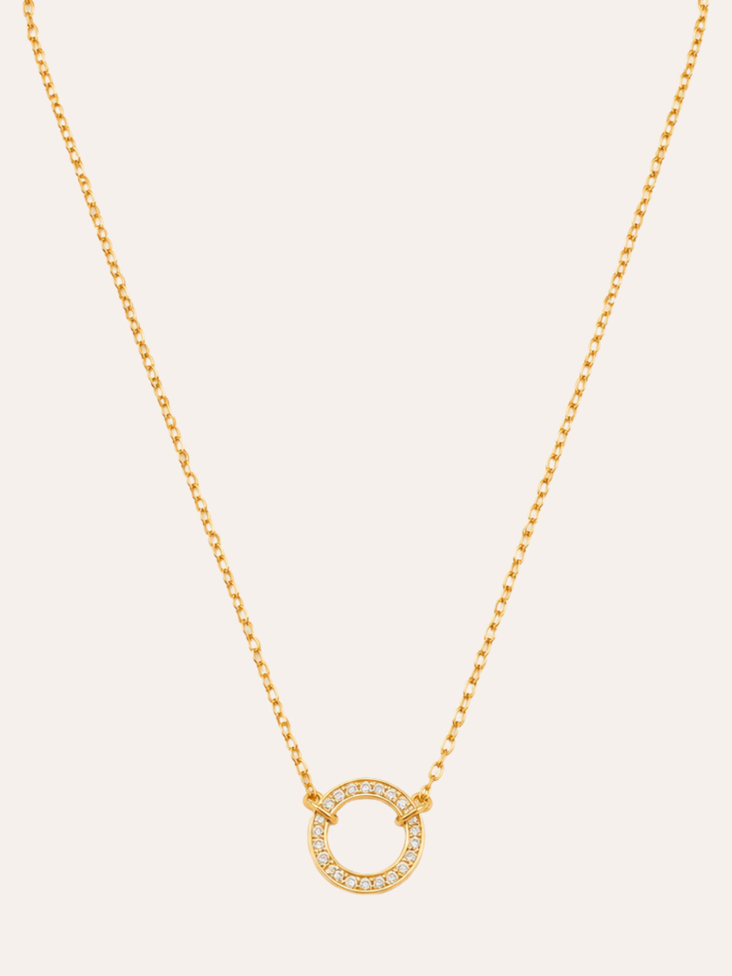 Circular Link Chain Necklace in evening light on dark velvet